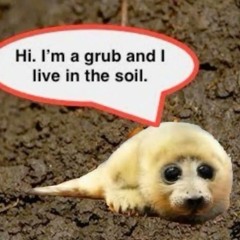 favourite songs ever. ^^