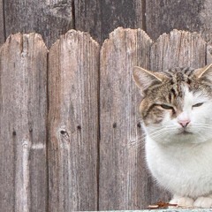 5 min song prod KARNO