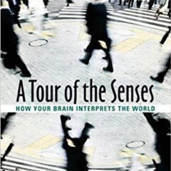 get⚡[PDF]❤ A Tour of the Senses: How Your Brain Interprets the World