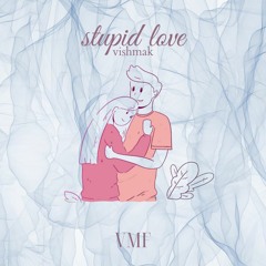 [No Copyright Music] Vishmak - Stupid Love [VMF Release]