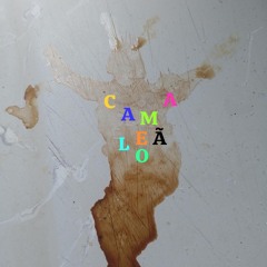 RIP I  - Rinck Prod. rinckthekiller Chamaleon EP 2025-01-12 09_39.m4a