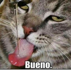 Bueno Feat .MacBrown, Backpack Joe, Danny Brown, & GasolineHe4D