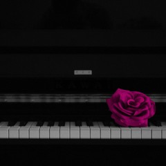 Rose bonbon