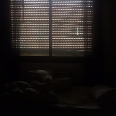 BRUISEGIRL - 5 de Noviembre