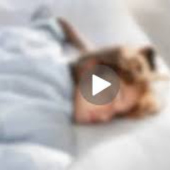 +[VIRAL] viraly lol hindi viraly lol viraly.lol viraly. lol viraly. lol viral lol viral lol video