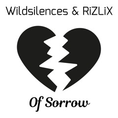 Wildsilences & RiZLiX - Of Sorrow