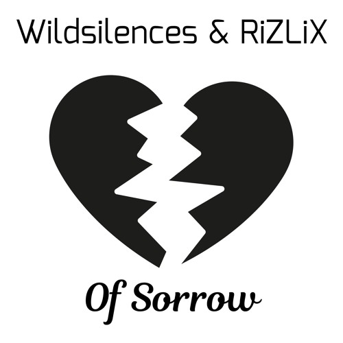 Wildsilences & RiZLiX - Of Sorrow