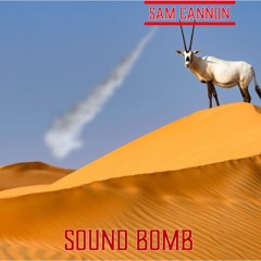 Sam cannon- Sound bomb(FREE DOWNLOAD)