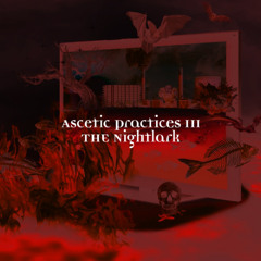 Ascetic Practices Mix 3 - The Nightlark