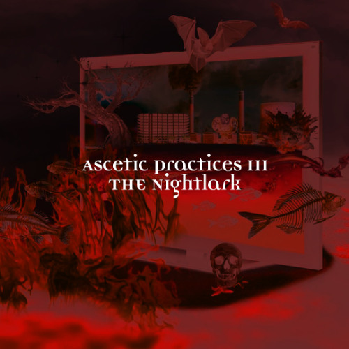Ascetic Practices Mix 3 - The Nightlark