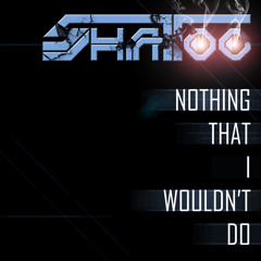 Nothing That I Wouldn't Do (Radio Edit)