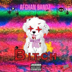 Bitch