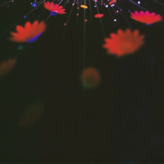 MY ONLY