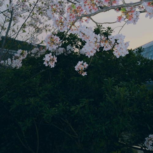 Tòa Thành Trong Tranh (一城山水) - Lunhui