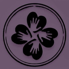 Last night of the year