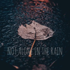 Not Alone In The Rain