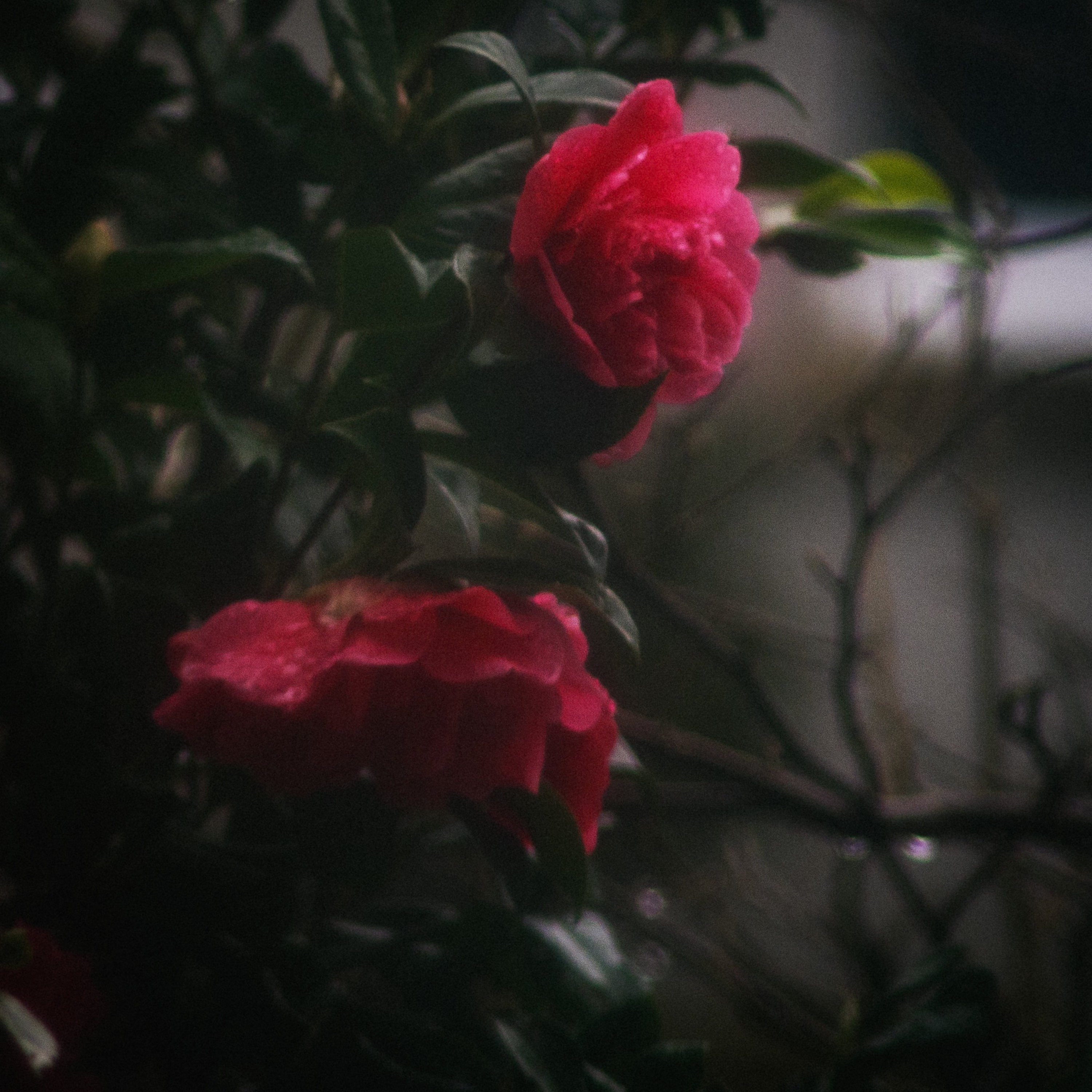 In a silent age episode artwork