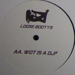 PREMIERE V/O: AA. Loose Bootys - Wot Is A DJ?