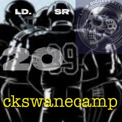LDSR 2o9 - ckswanecamp