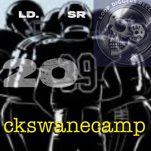 LDSR 2o9 - ckswanecamp