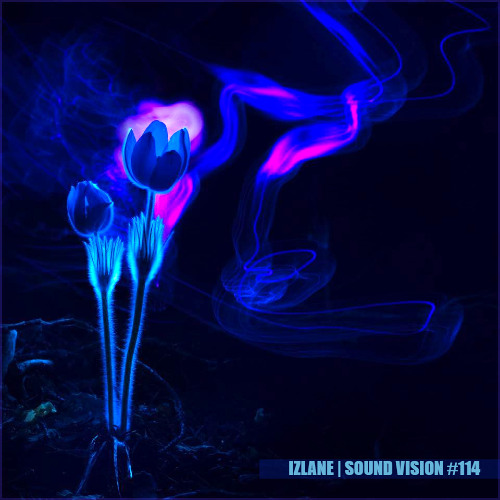 Sound Vision #114