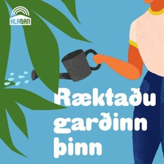 Ræktaðu garðinn þinn - #19 – Sjö matlaukar – 16. febrúar 2021