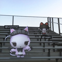 shootout🏒 (ashy + woonerf)