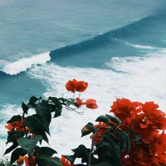 hiraizerdüş- kır gülleri