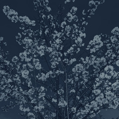 Talking about oneself.prod.Yoshitomi kaito