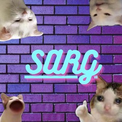 SARG-Party Cat (Remix*)