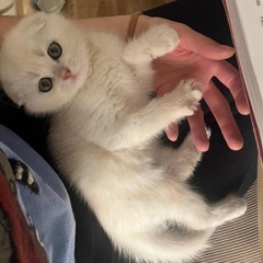 cali!