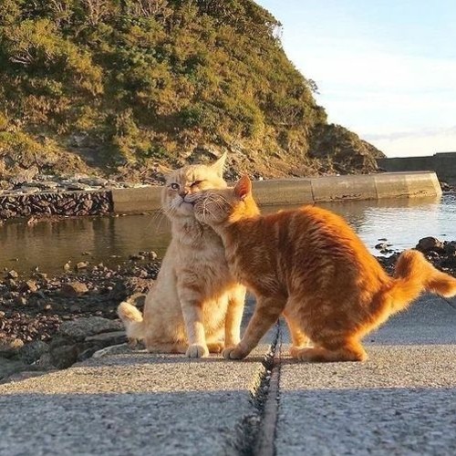 буерак я танцую сам с собой буерак slowed