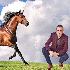يا طلت خيلينا محمد كبها