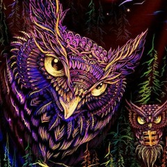 Eliminator - Dark Reflection (Dr. Evil's Night Owl RMX)