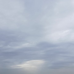 بوجه الريح
