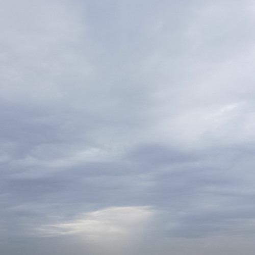 أبكي على شام الهوى