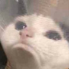 ฝนกำลังจะตกแต่เธอมีคนกลางร่มให้แล้วนี่ งั้นนี่ไปละ:(