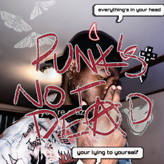PUNK ISNT DEAD !