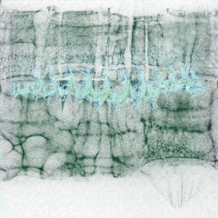 Neotransmission