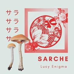 Lucy Enigma - Sarche