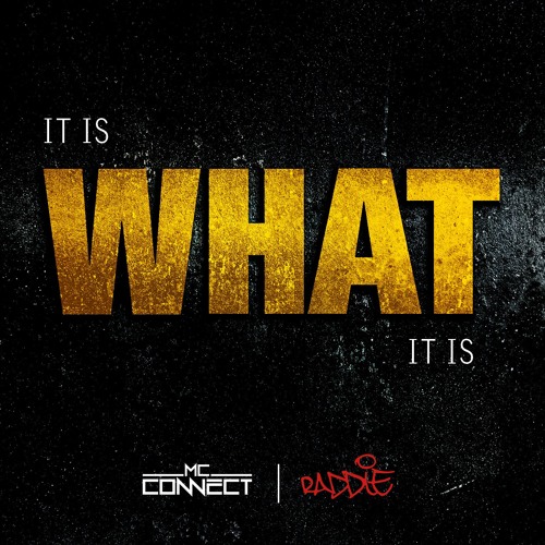 It Is WHAT it is feat. Raddie