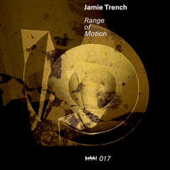 I'm Into The Groove Thing (Original Mix)