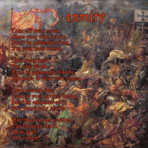 Fraunhofer Diffraction - Enmity