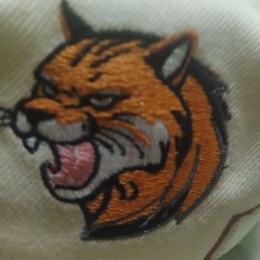 McLaughlin "War Stories"