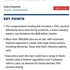 1996BULLS (feat.KickDoor)