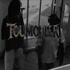 alx fidji toumouler
