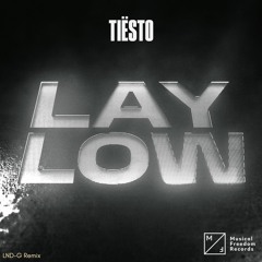 Tiësto - Lay Low (LND-G Remix)