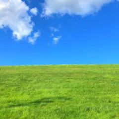 fields*