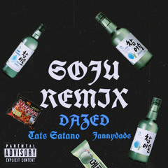 Soju Remix (Jay Park) ft. Jannydads