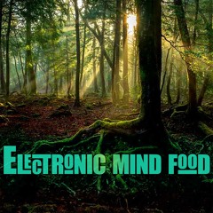 ELECTRONIC MIND FOOD